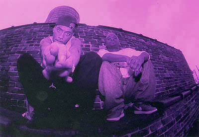 mobb deep purple vision