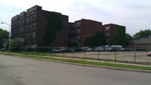 Ivy eating buildings in Detroit