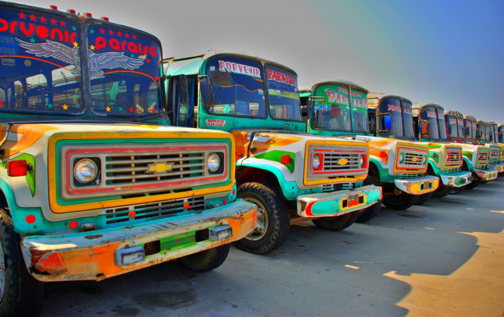 buses